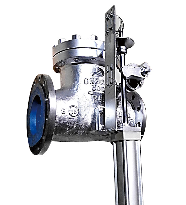 Water-controlled steam extraction check valve